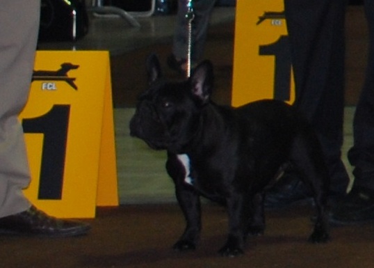 Lefox